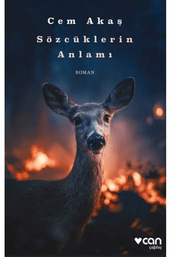 Sözcüklerin Anlamı Sözcüklerin Anlamı