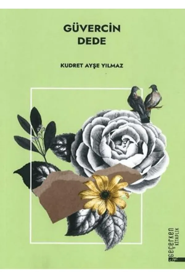 Güvercin Dede Güvercin Dede