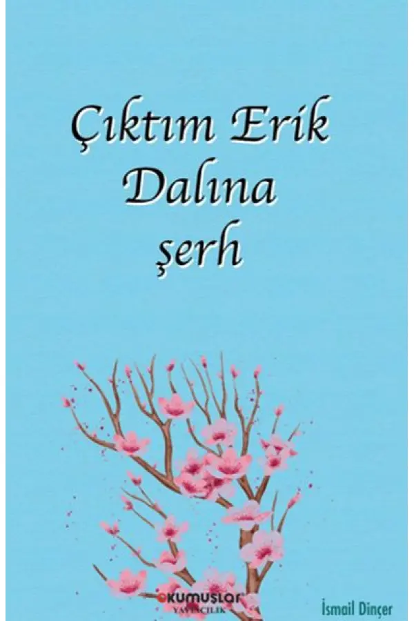 Çıktım Erik Dalına şerh Çıktım Erik Dalına şerh