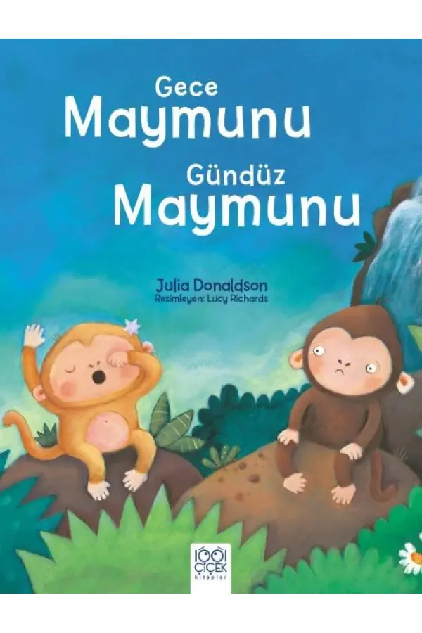 Gece Maymunu Gündüz Maymunu Gece Maymunu Gündüz Maymunu