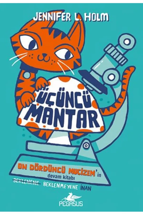 Üçüncü Mantar Üçüncü Mantar