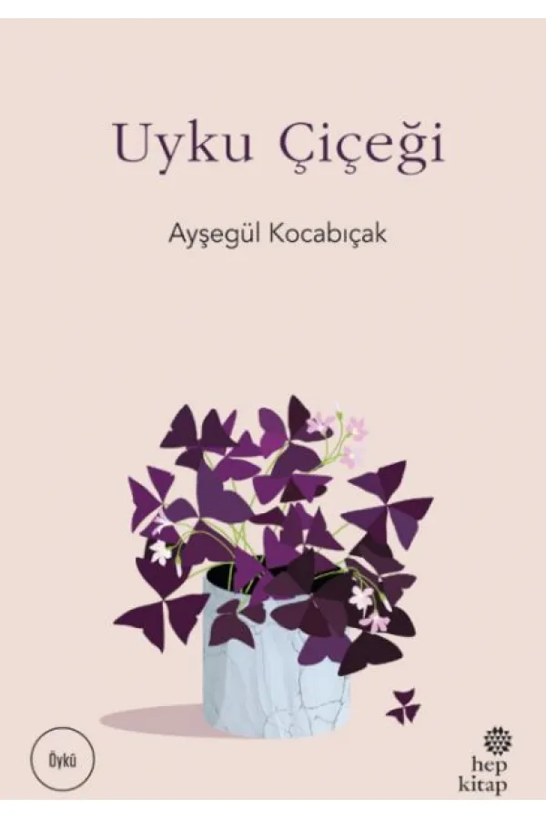 Uyku Çiçeği Uyku Çiçeği