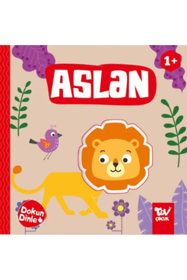Dokun Dinle Aslan Dokun Dinle Aslan