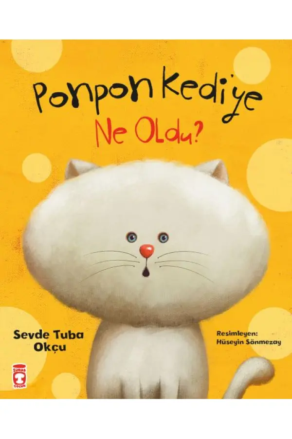 Ponpon Kediye Ne Oldu Ponpon Kediye Ne Oldu