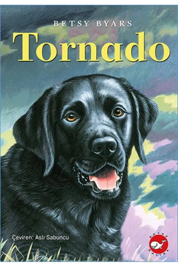 Tornado Tornado