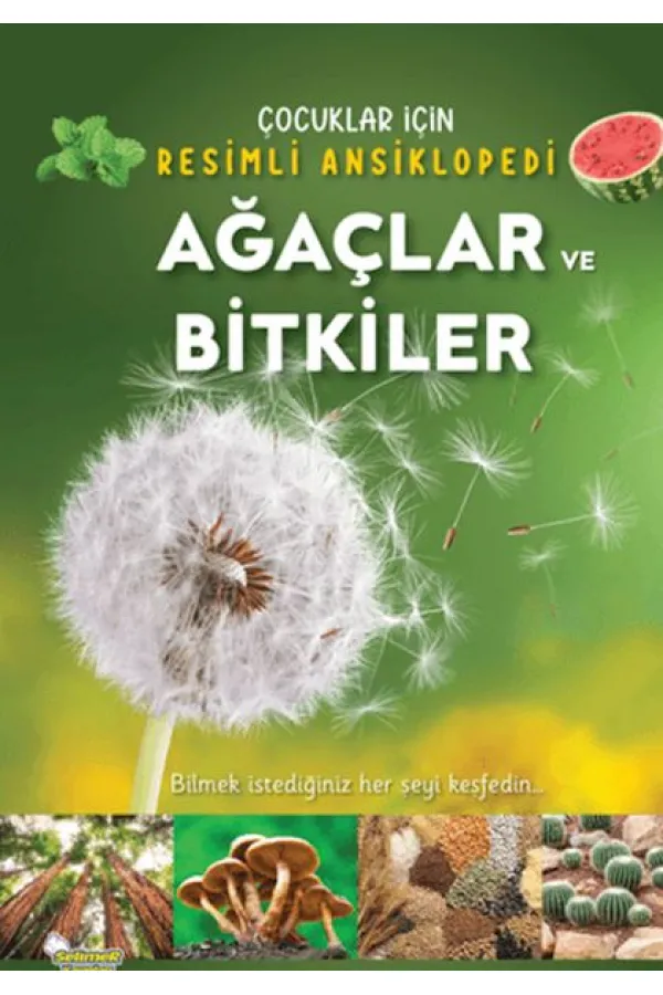 Ağaçlar ve Bitkiler Ağaçlar ve Bitkiler