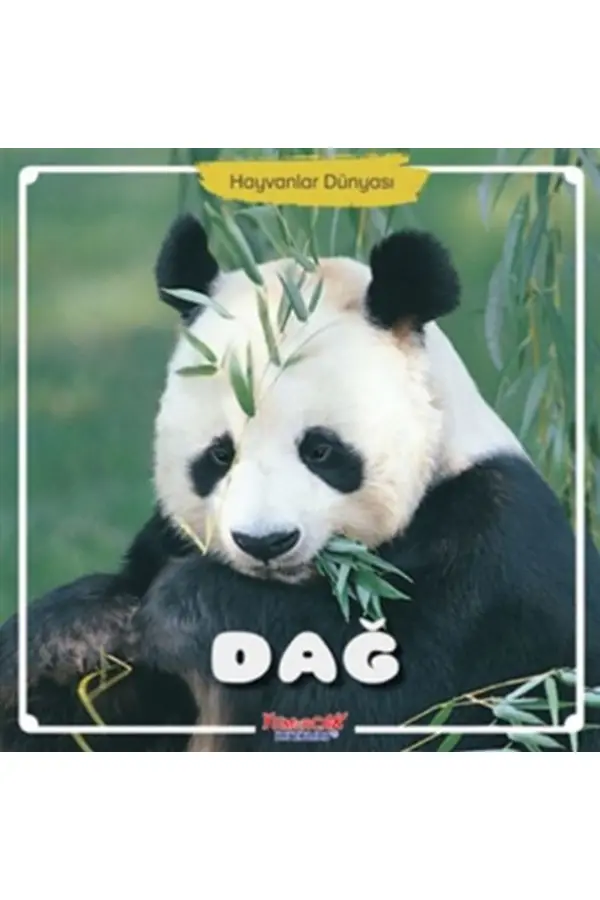 Dağ - Hayvanlar Dünyası Dağ - Hayvanlar Dünyası
