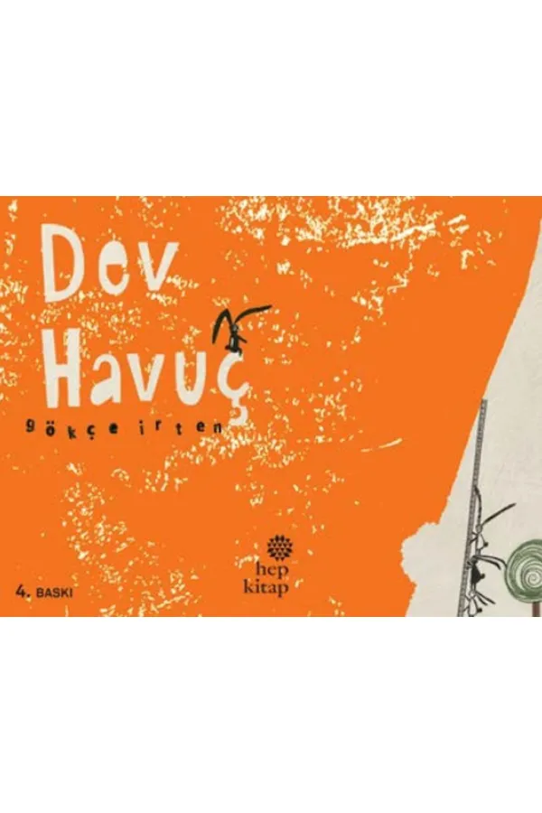 Dev Havuç Dev Havuç