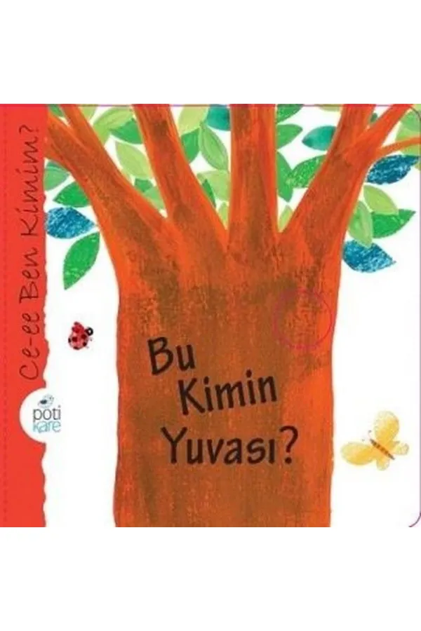 Bu Kimin Yuvası? Bu Kimin Yuvası?
