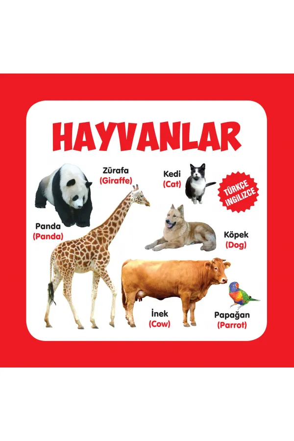 Hayvanlar Türkçe-İngilizce Hayvanlar Türkçe-İngilizce