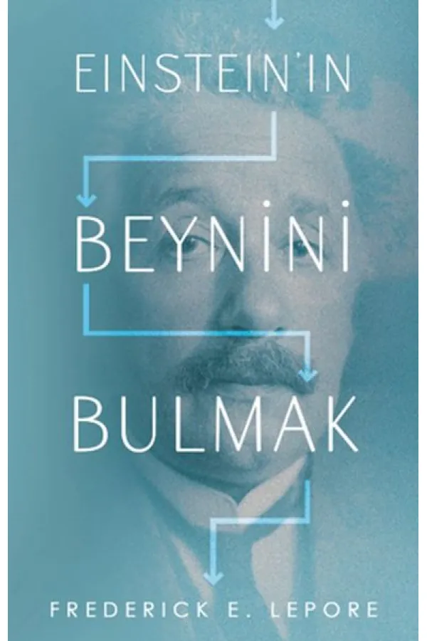 Eınsteın’ın Beynini Bulmak