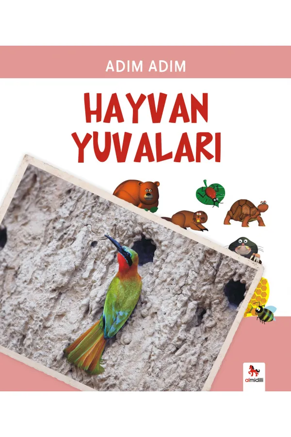 Adım Adım - Hayvan Yuvaları Adım Adım - Hayvan Yuvaları