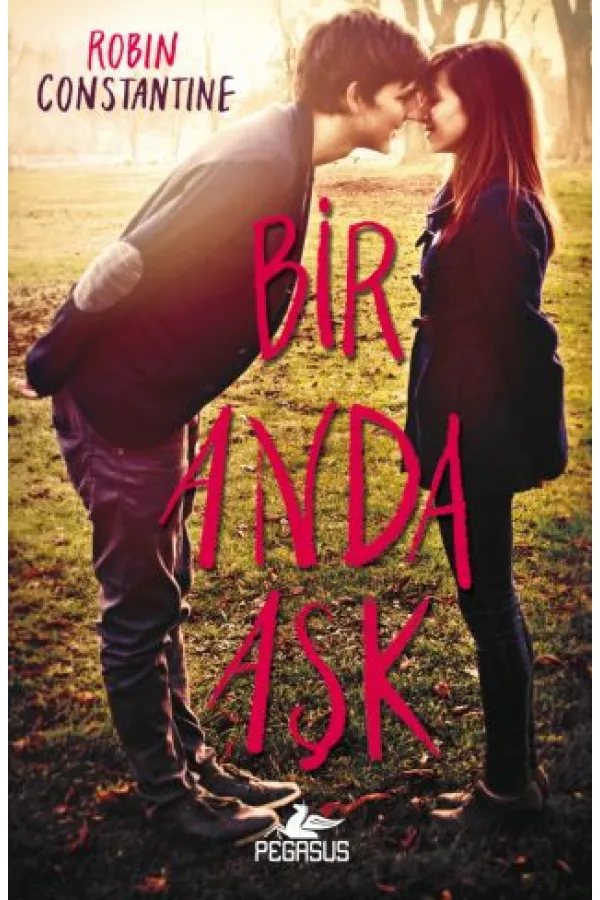 Bir Anda Aşk Bir Anda Aşk