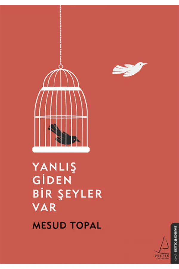 Yanlış Giden Bir Şeyler Var Yanlış Giden Bir Şeyler Var