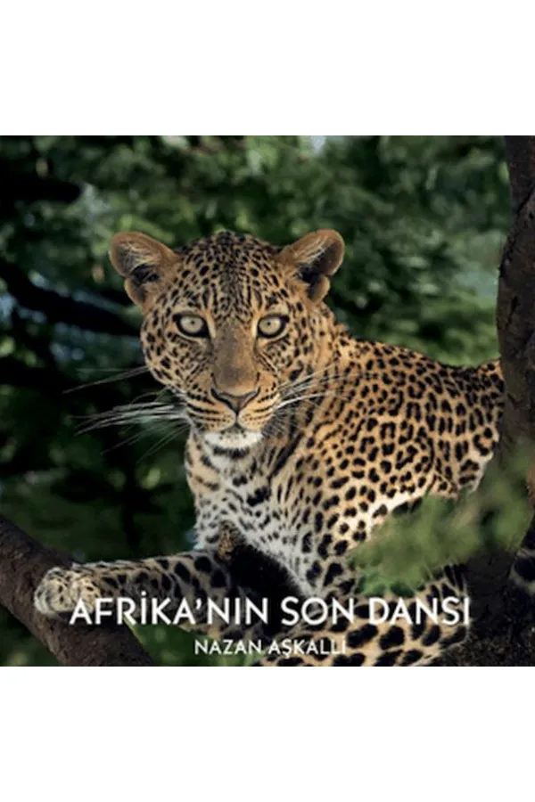Afrika’nın Son Dansı Afrika’nın Son Dansı