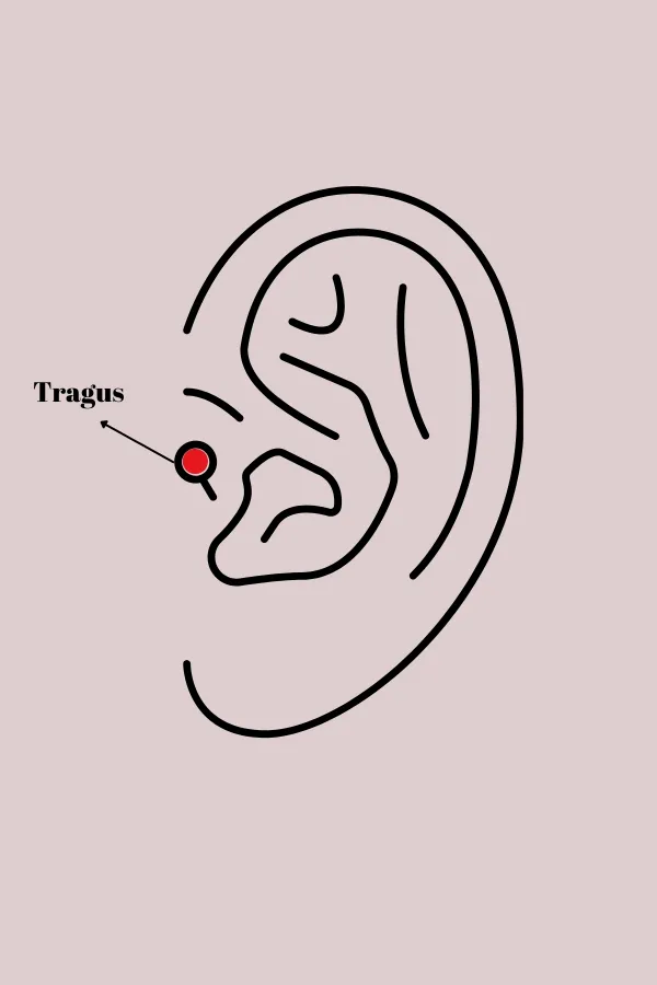 316L Çelik Gümüş Renk Pembe Zirkon Taşlı Kalp Tragus Piercing 316L Çelik Gümüş Renk Pembe Zirkon Taşlı Kalp Tragus Piercing