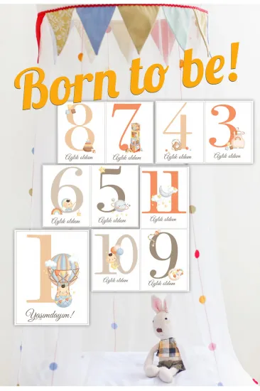 Yeni Doğan Bebek Anı ve Gelişim Hatıra Fotoğraf Kartları Born To Be temalı