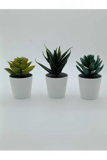 Fejka Kaktüs 3 Lü Set 6 Cm Yapay Bitki Çiçek Saksılı Kaktüs Fejka Kaktüs 3 Lü Set 6 Cm Yapay Bitki Çiçek Saksılı Kaktüs