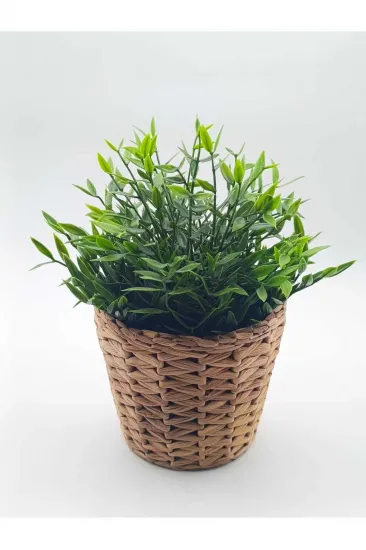 Frıdfull Hasır Saksı 12 Cm - Su Sümbülü Frıdfull Hasır Saksı 12 Cm - Su Sümbülü