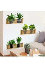 Raflı Bitki Tasarımlı Yapışkanlı Sticker 20*30 cm 3lü Set (5637) Raflı Bitki Tasarımlı Yapışkanlı Sticker 20*30 cm 3lü Set (5637)