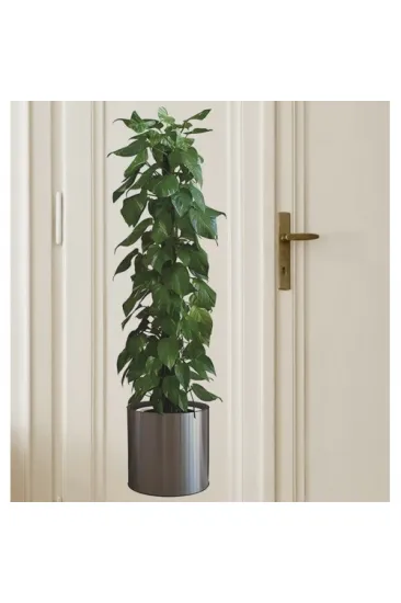 Saksılı Bitki Tasarımlı Yapışkanlı Sticker Resim 90*30 cm (5637) Saksılı Bitki Tasarımlı Yapışkanlı Sticker Resim 90*30 cm (5637)