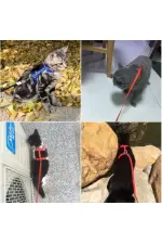Kedi Boyun ve Göğüs Tasması Kedi Boyun ve Göğüs Tasması