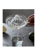 Cam Limon Sıkacağı Cam Limon Sıkacağı