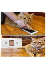 Kedi Köpek Pati İzi Fotoğraf Çerçevesi Seti Kedi Köpek Pati İzi Fotoğraf Çerçevesi Seti