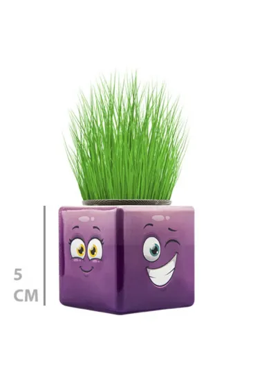 Çim Adam Mini Küp Emoji Figürlü 1 Adet Çim Adam Mini Küp Emoji Figürlü 1 Adet