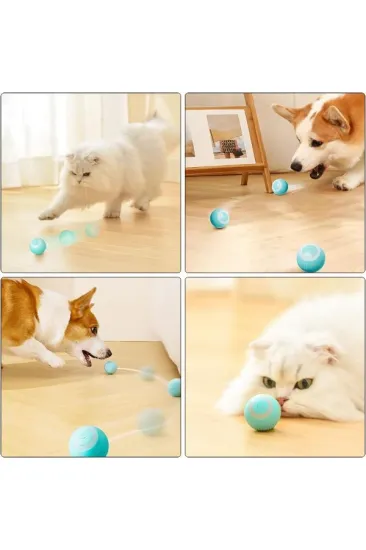 İnteraktif Kedi Köpek Şarjlı Oyun Topu İnteraktif Kedi Köpek Şarjlı Oyun Topu