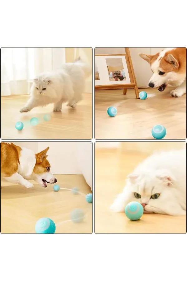 İnteraktif Kedi Köpek Şarjlı Oyun Topu İnteraktif Kedi Köpek Şarjlı Oyun Topu