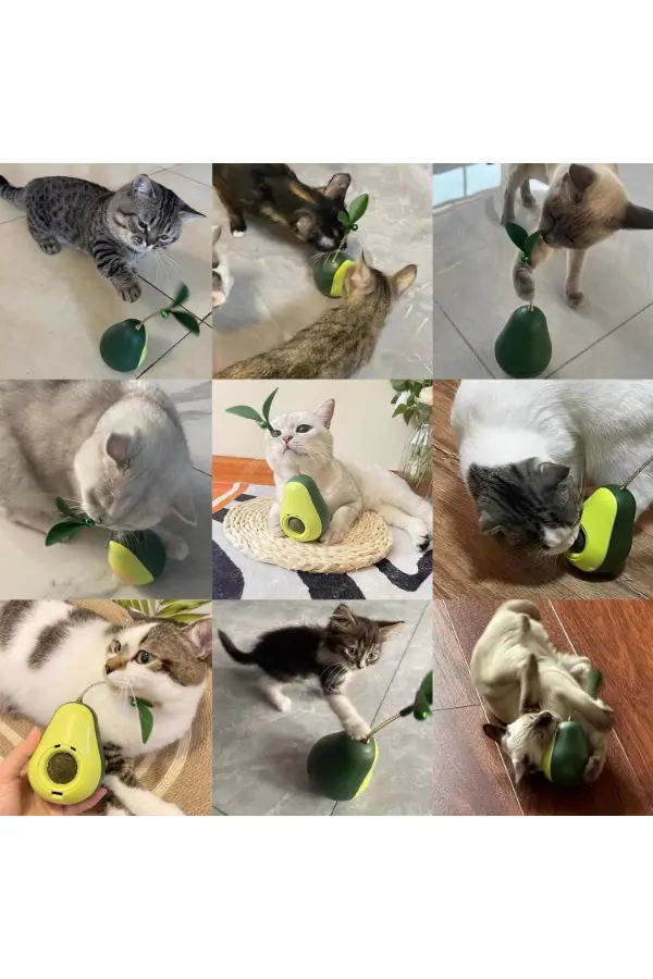 Avokado Şeklinde Kedi Naneli ve Mama Hazneli Kedi Oyuncağı Avokado Şeklinde Kedi Naneli ve Mama Hazneli Kedi Oyuncağı