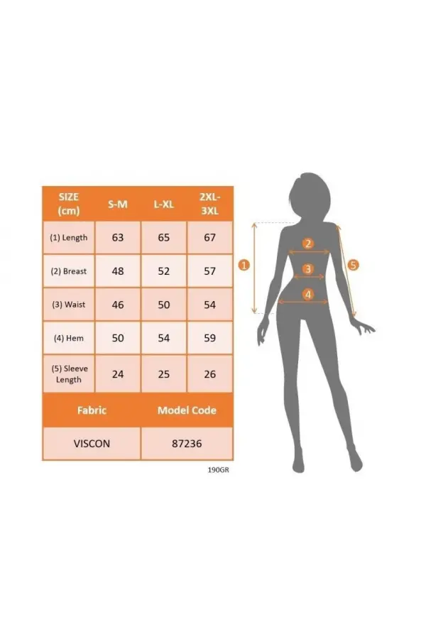 Kadın Kısa Kollu V Yakalı şerit Detaylı Viskon Bluz Kadın Kısa Kollu V Yakalı şerit Detaylı Viskon Bluz