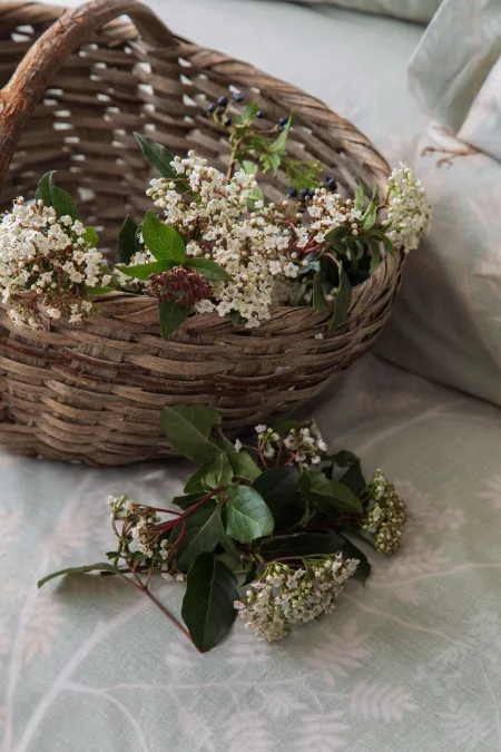 TEK KİŞİLİK PIKE TAKIMI ELYSIAN ADACAYI - PIKE TAKIMI TEK KİŞİLİK PIKE TAKIMI ELYSIAN ADACAYI - PIKE TAKIMI