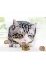 Kedi Nanesi Oyun Topu Kedi Nanesi Oyun Topu