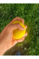 El Bilek Güçlendirme Topu Medium El Bilek Güçlendirme Topu Medium