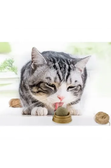 Kedi Nanesi Oyun Topu Kedi Nanesi Oyun Topu