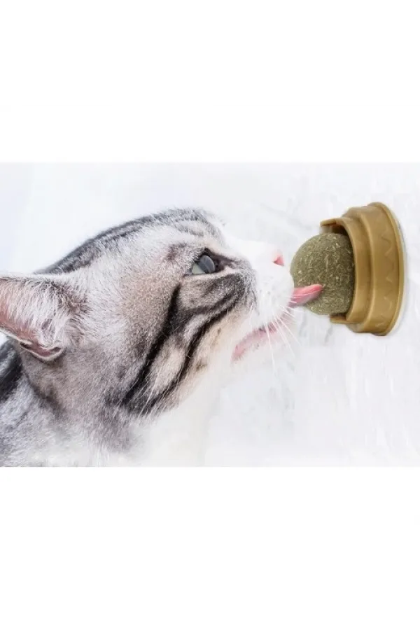 Kedi Nanesi Oyun Topu Kedi Nanesi Oyun Topu