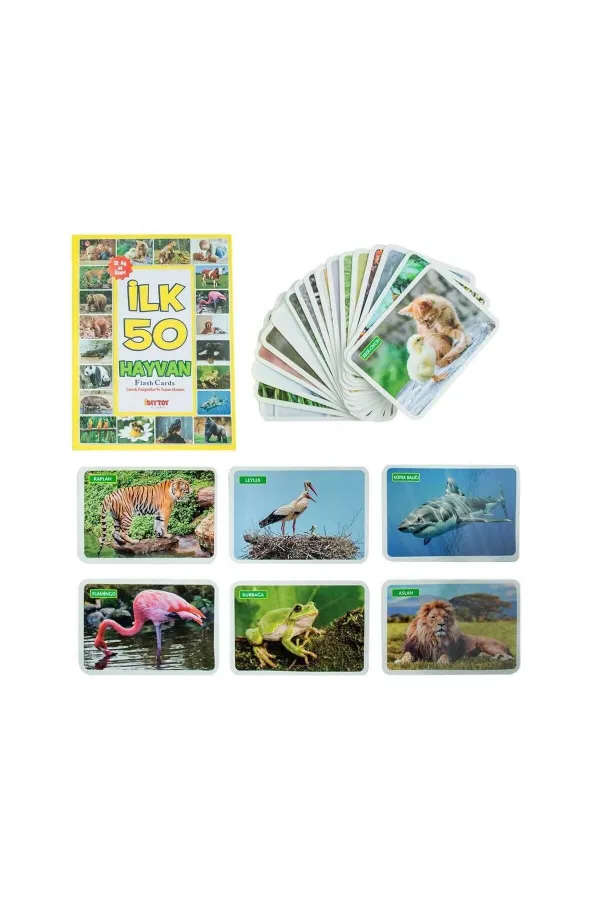 1352 F.CARDS İLK 50 HAYVAN 1352 F.CARDS İLK 50 HAYVAN