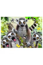 Prime 3D - Lemur Pelüş ve Selfie 48 Parça Puzzle 15801