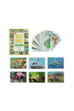 1352FlashCardsİlk50Hayvan-Dıytoy 1352FlashCardsİlk50Hayvan-Dıytoy