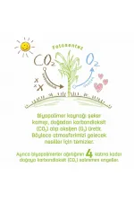 Bio Natural Islak Havlu Mendil 3x40 120 Yaprak Bio Natural Islak Havlu Mendil 3x40 120 Yaprak