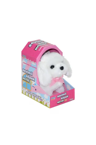 47100 Sevimli Köpek Maltese - 47100 Sevimli Köpek Maltese -