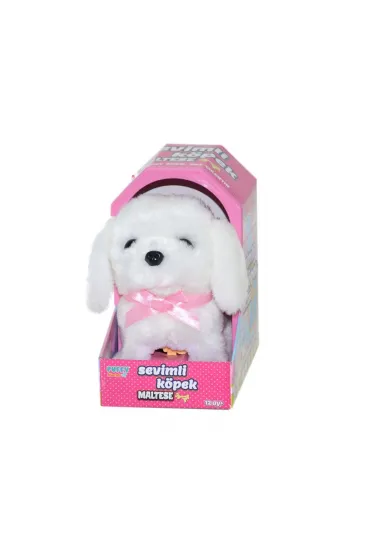 47100 Sevimli Köpek Maltese - 47100 Sevimli Köpek Maltese -
