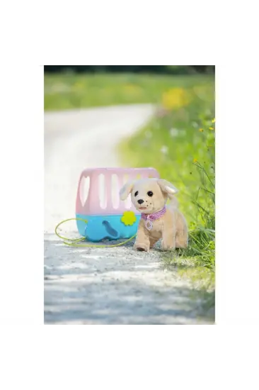 Köpeğim Lucky Köpeğim Lucky