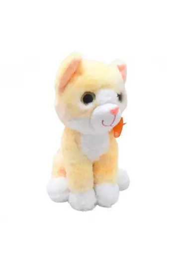 PELUŞ 30CM RENKLİ KEDİ  (adet fiyatıdır)