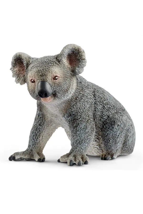 Koala Koala