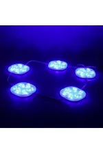 Powermaster 12 Volt 3 Watt Mavi Sabit 6565-2835 Modül Led Powermaster 12 Volt 3 Watt Mavi Sabit 6565-2835 Modül Led