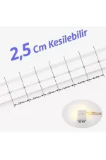 Powermaster Pm-5286 Silikon Kaplama 12 Volt 100 Metre Mavi Neon Led Şerit Aydınlatma Powermaster Pm-5286 Silikon Kaplama 12 Volt 100 Metre Mavi Neon Led Şerit Aydınlatma