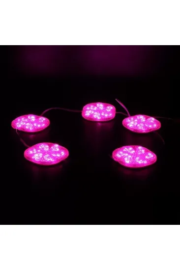 Powermaster 12 Volt 3 Watt Pembe Sabit 6565-2835 Modül Led Powermaster 12 Volt 3 Watt Pembe Sabit 6565-2835 Modül Led